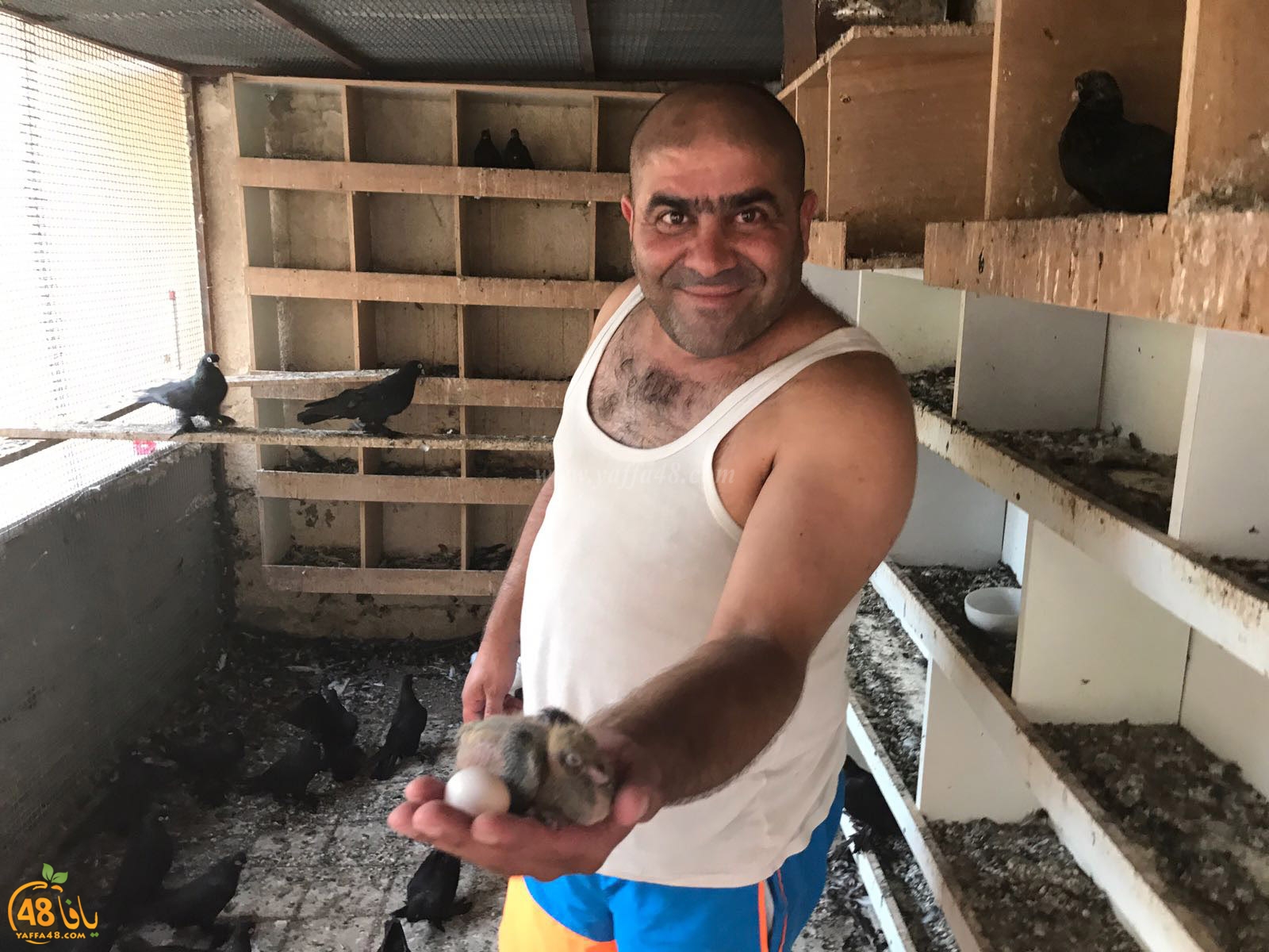 zohdi 3ashoor 7amam (28).jpg